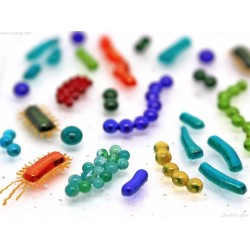 Bacteria Glass Art Panel...