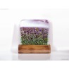 Handmade Fused Glass Lavender Fields Panel Provence Art glass