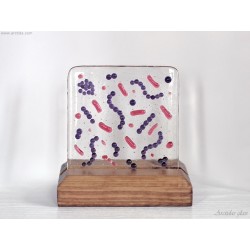Gram stained bacteria glass art panel Microbiology office desk decor