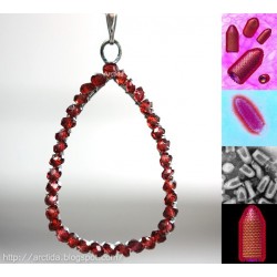 Science jewelry Rabies...