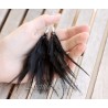 Black Feather earrings sterling silver - Morticia