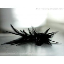 Black Feather earrings sterling silver - Morticia