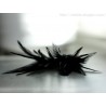 Black Feather earrings sterling silver - Morticia
